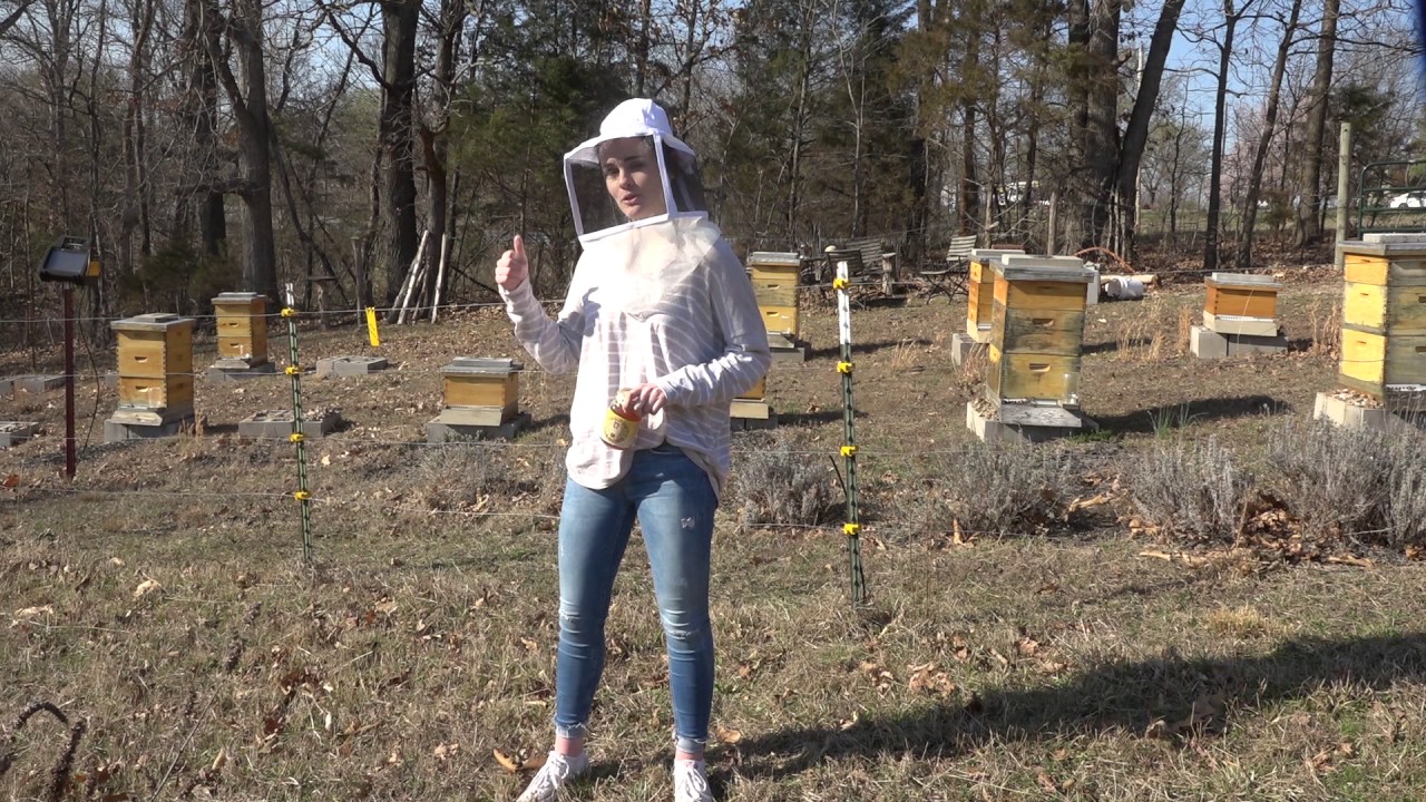 Benefits of Local Honey