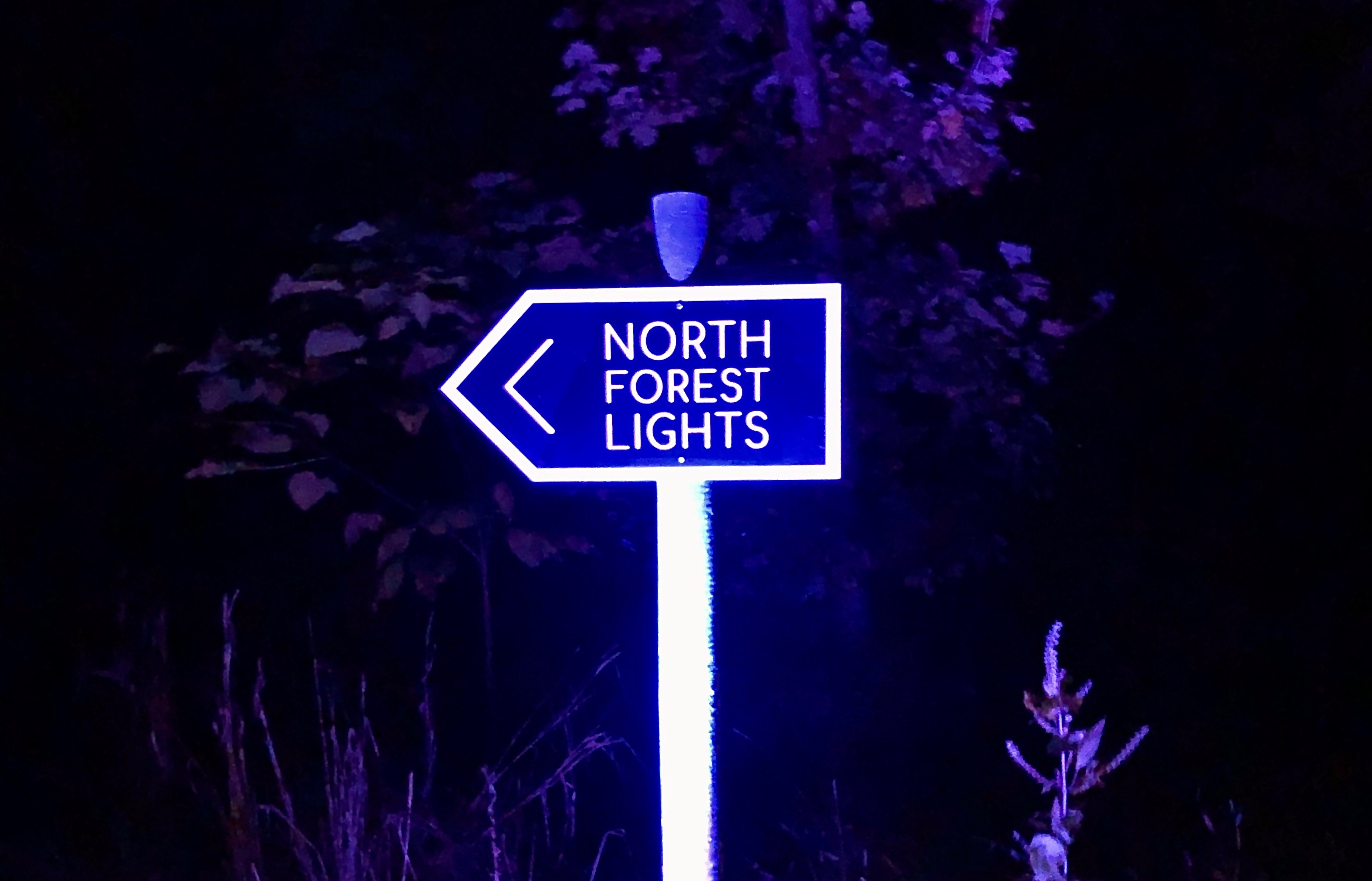 Crystal Bridges Lights up the Night’s Sky With New Exhibit University
