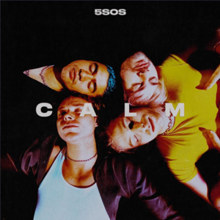 The album cover from Five Seconds of Summer's newest album.