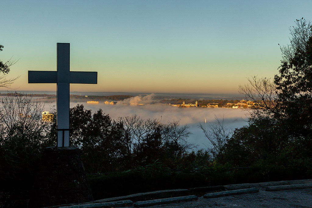 Invasive plant removal at Mount Sequoyah, volunteers needed