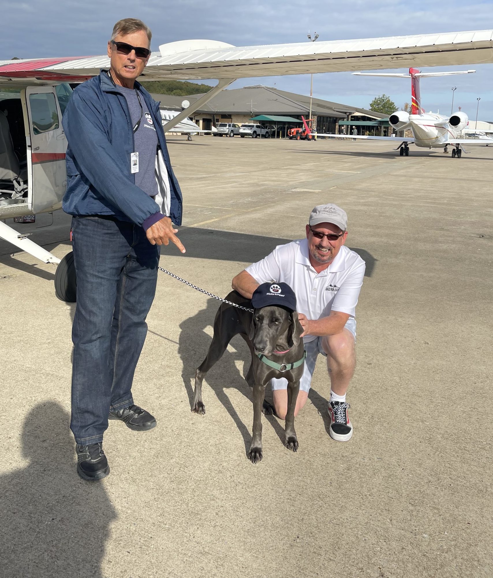 Arkansas Weimaraner Rescue helps four-legged friends find their home