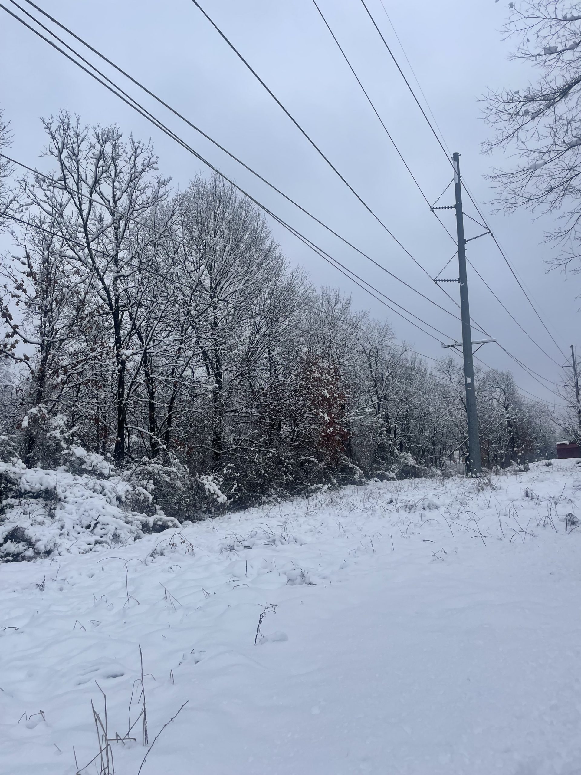 Winter Weather caused Power Outages in Northwest Arkansas Region