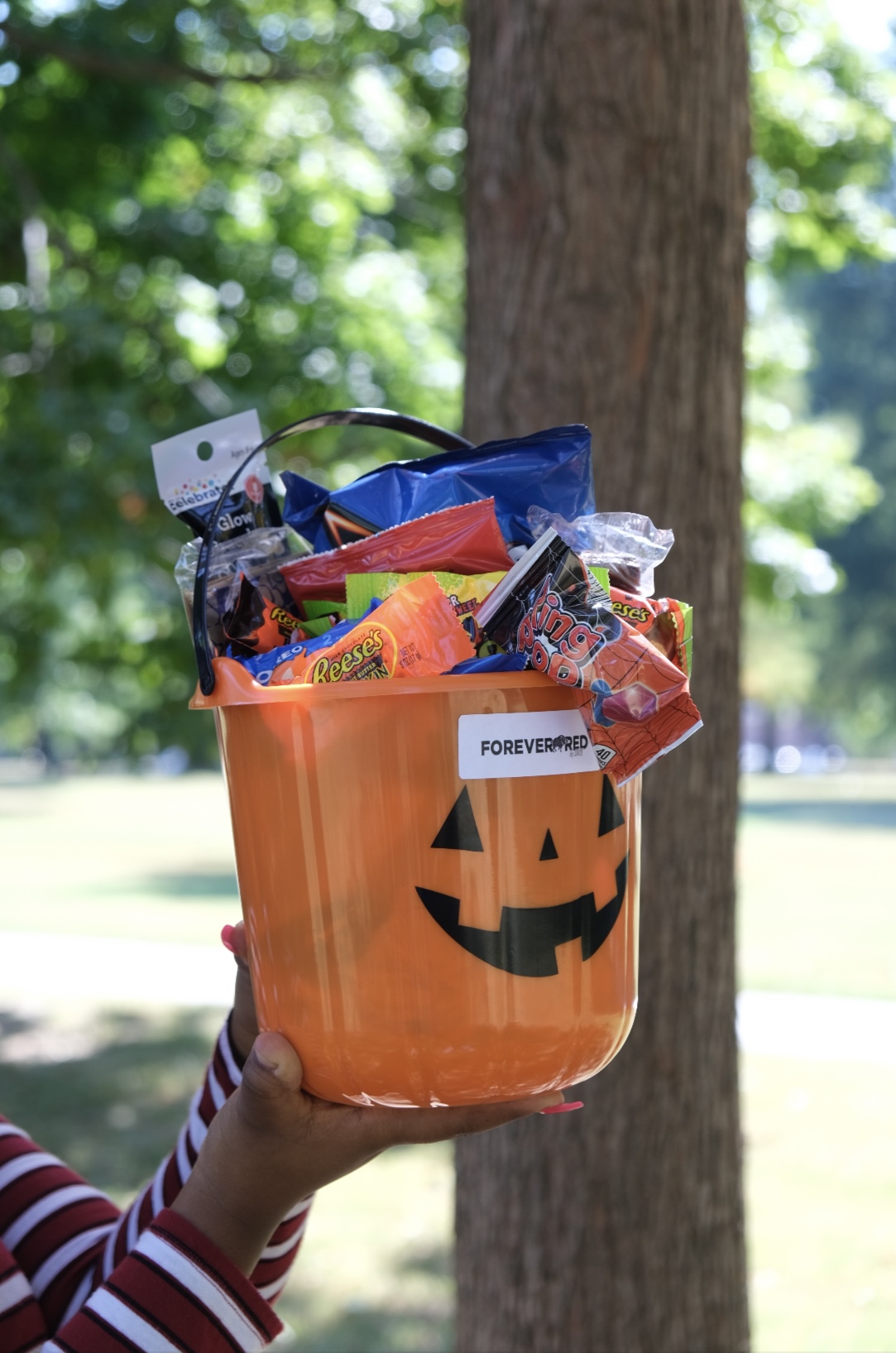 Forever Red brings back Spooky Boxes to campus