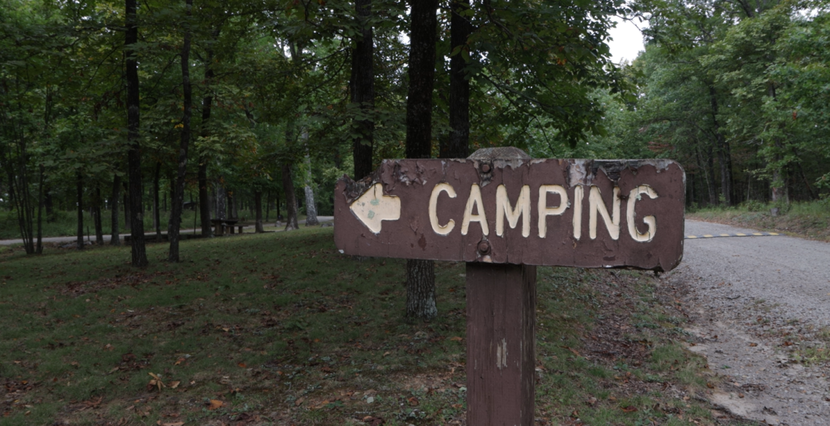 Fall Safety Tips: Staying Bear Aware in Arkansas