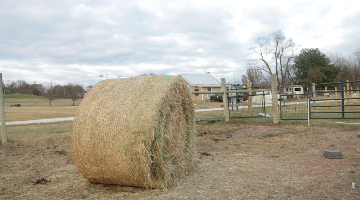 Financial Losses Leave Arkansas Farmers Unsure About Their Futures.