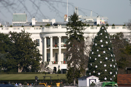 White House Christmas tree