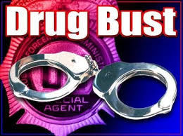 drugbust