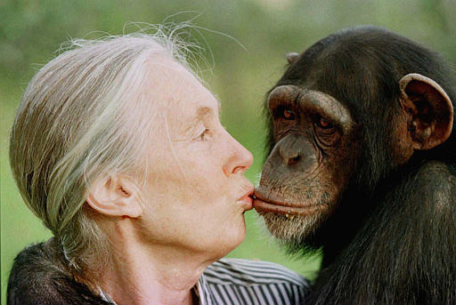 Jane Goodall Coming to the U of A